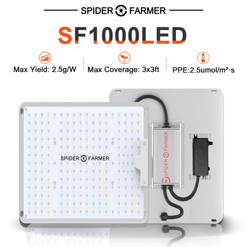 Features of SF1000 LED