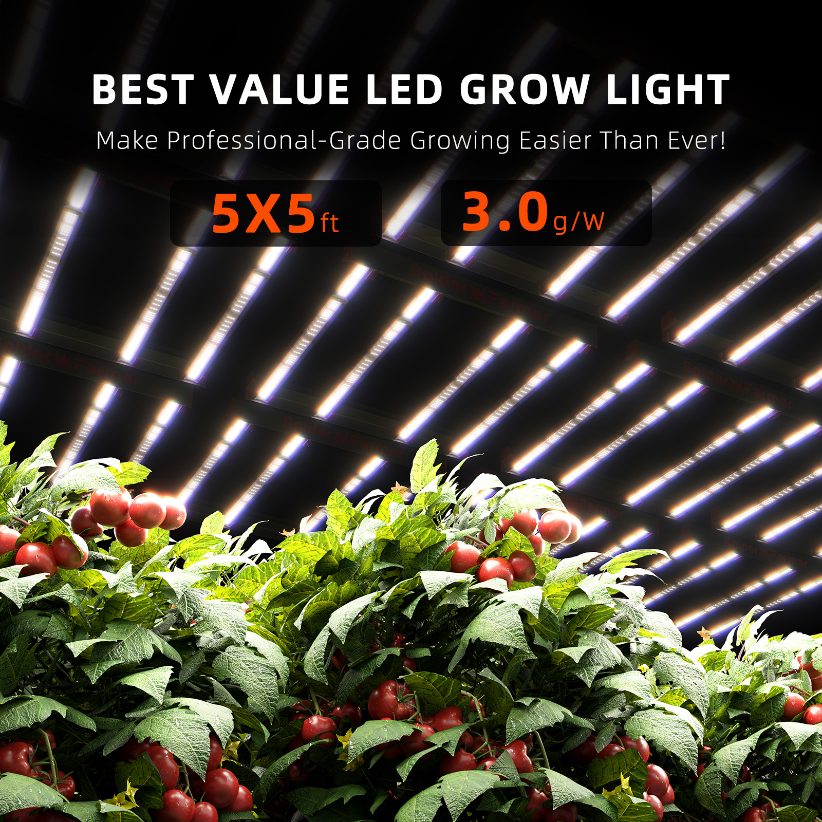 The 8 Best Grow Lights