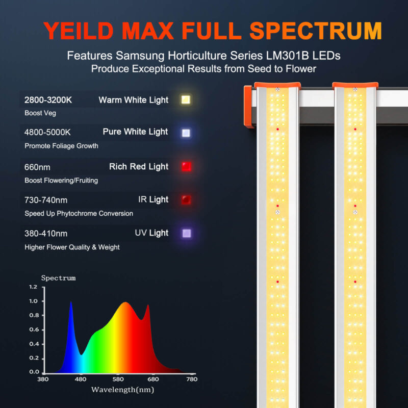SE5000-Spectrum ratio