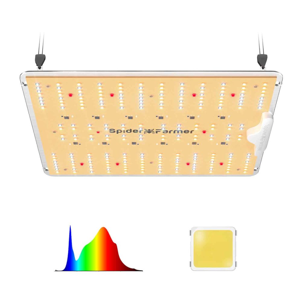 SF1000D led grow light