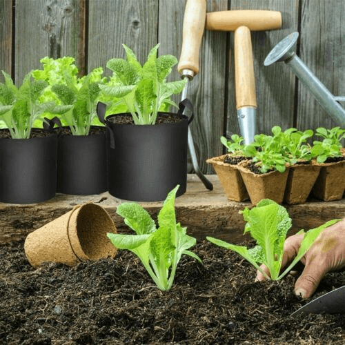 plants grow bag for vegetable