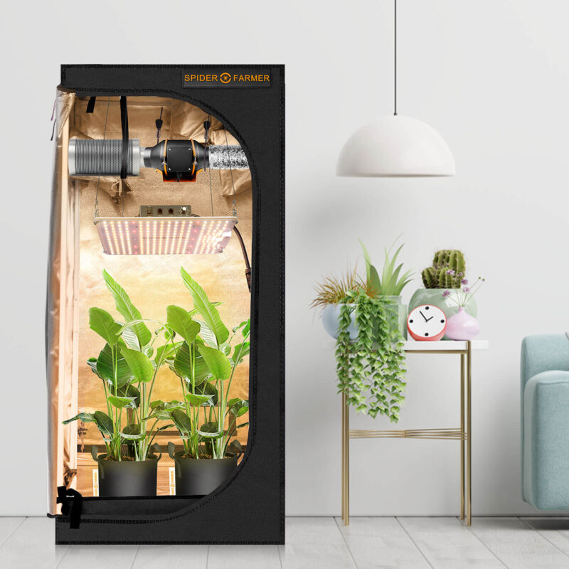 using of plants grow bag