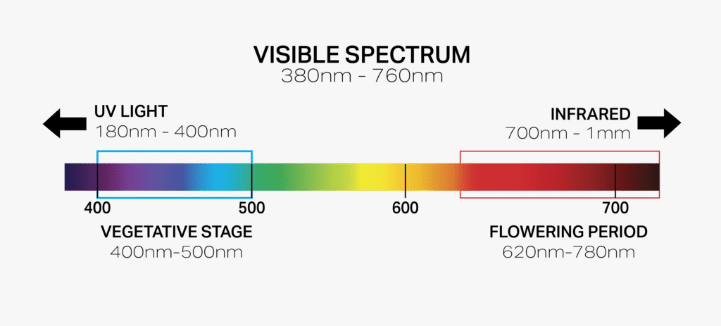 what-s-the-best-led-grow-light-spectrum-for-plants-growth