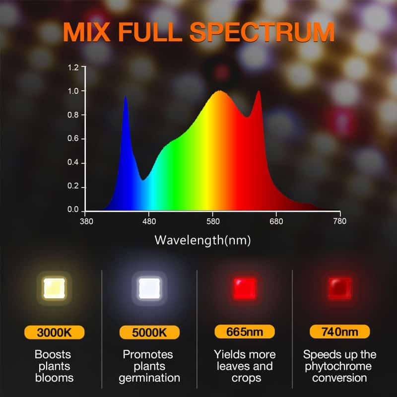 SF2000 PRO-Spectrum Ratio