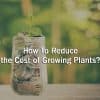 How to reduce the cost of growing plants