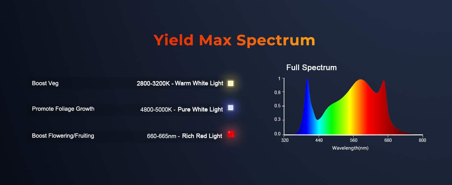 Spectrum Ratio-SE3000 300W