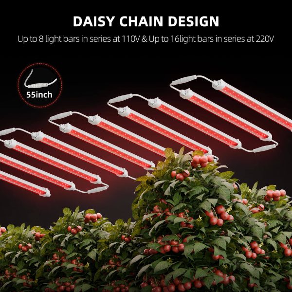 SF-Glowr80 daisy chain design