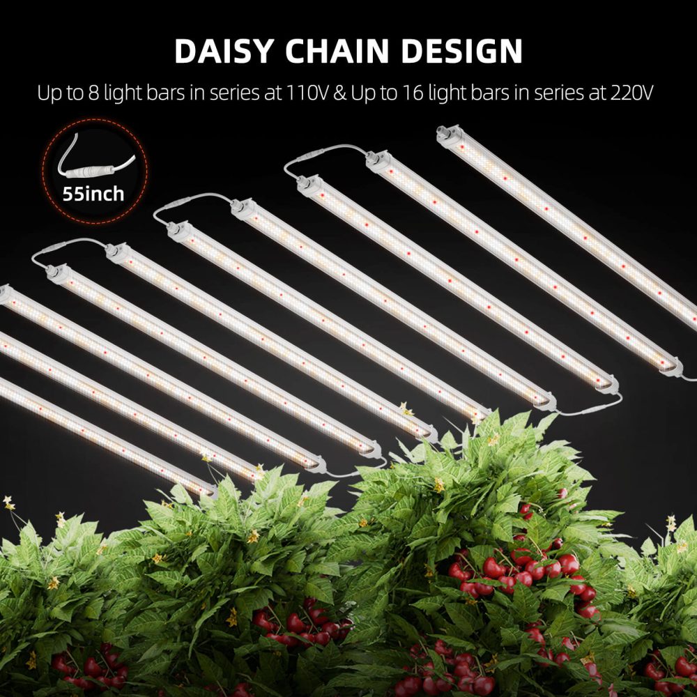 Spider farmer Glow80 80w grow light dainy chain