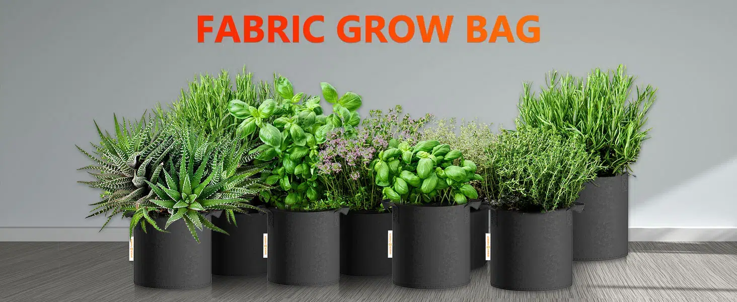Spider-Farmer-11-gallon-grow-bag-pc-1.jpg
