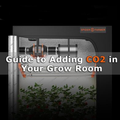 Add-CO2-in-your-growing-room