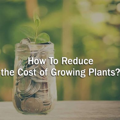 How to reduce the cost of growing plants