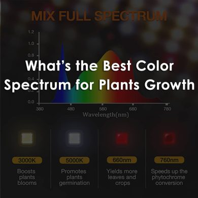 Full-spectrum