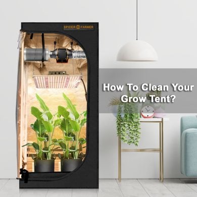 How-to-Clean-a-Grow-Tent