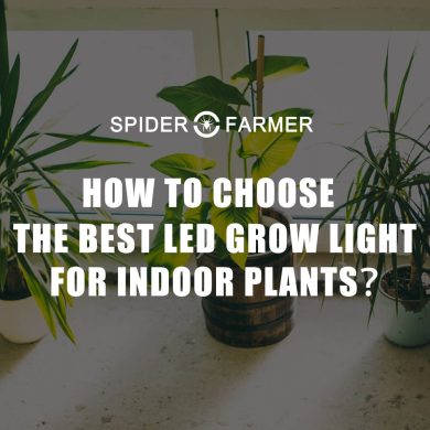 How to choose led grow light